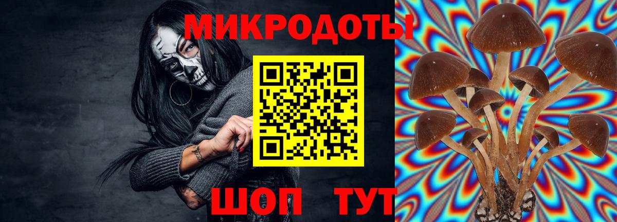 Рузаевка  Галлюциногенные грибы Magic Shrooms  Вход с VPN 